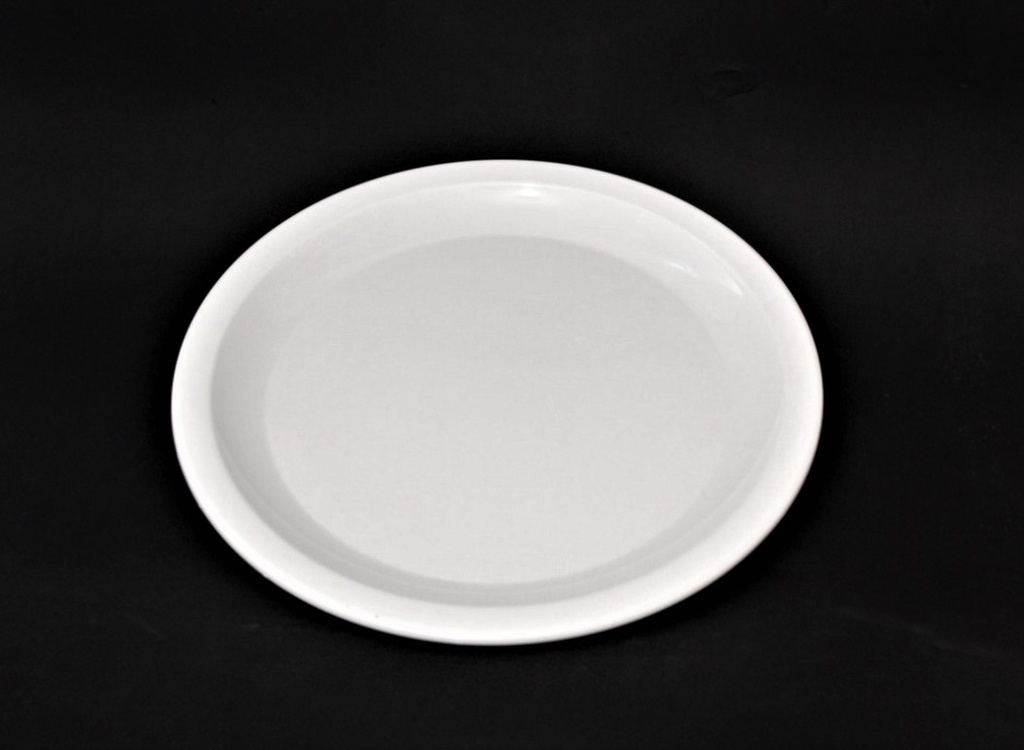 Plato Plano Grande Policarbonato Ø 22.6 cm.